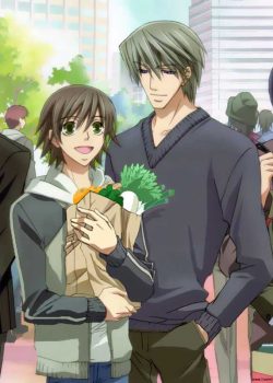 Mối Tình Trong Sáng – Junjou Romantica