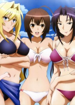 Sekirei ss1