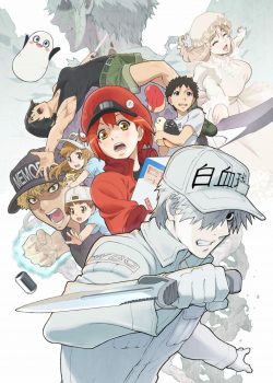 Hataraku Saibou ss2 – Khi các tế bào làm việc phần 2