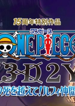 One Piece TV Special 8: 3D2Y - Vượt qua cái chết của Ace