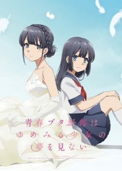 Seishun Buta Yarou wa Yumemiru Shoujo no Yume wo Minai